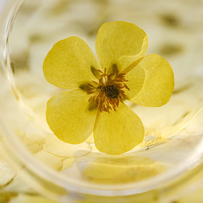 Dried Flower Bookmark - 100Pcs Ranunculus Dried Flower Pressed Plant