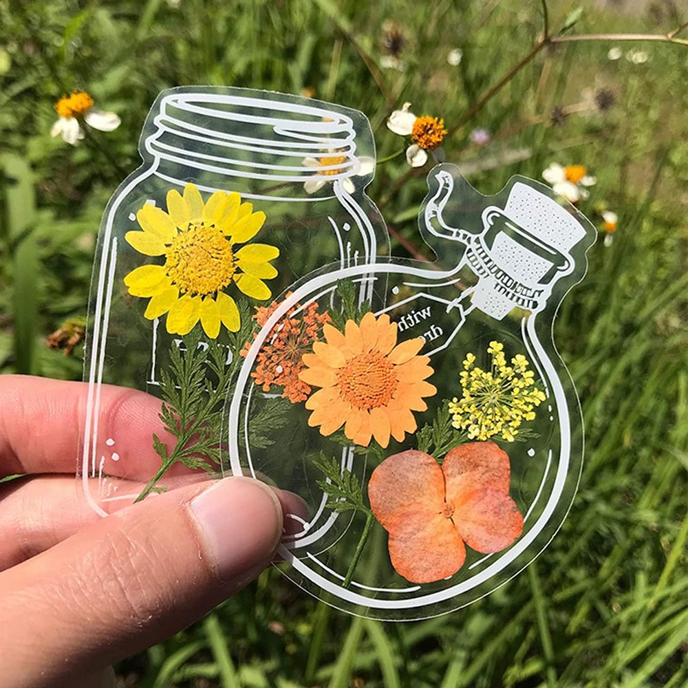 30Pcs DIY Transparent Dried Fl - Dried Flower Bookmark review and price