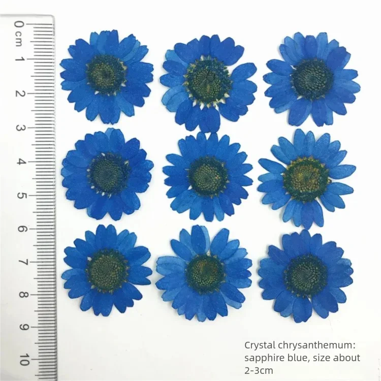 100Pcs Dyed Chrysanthemum Drie - Dried Flower Bookmark review and price
