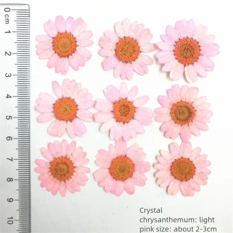 100Pcs Dyed Chrysanthemum Drie - Dried Flower Bookmark review and price