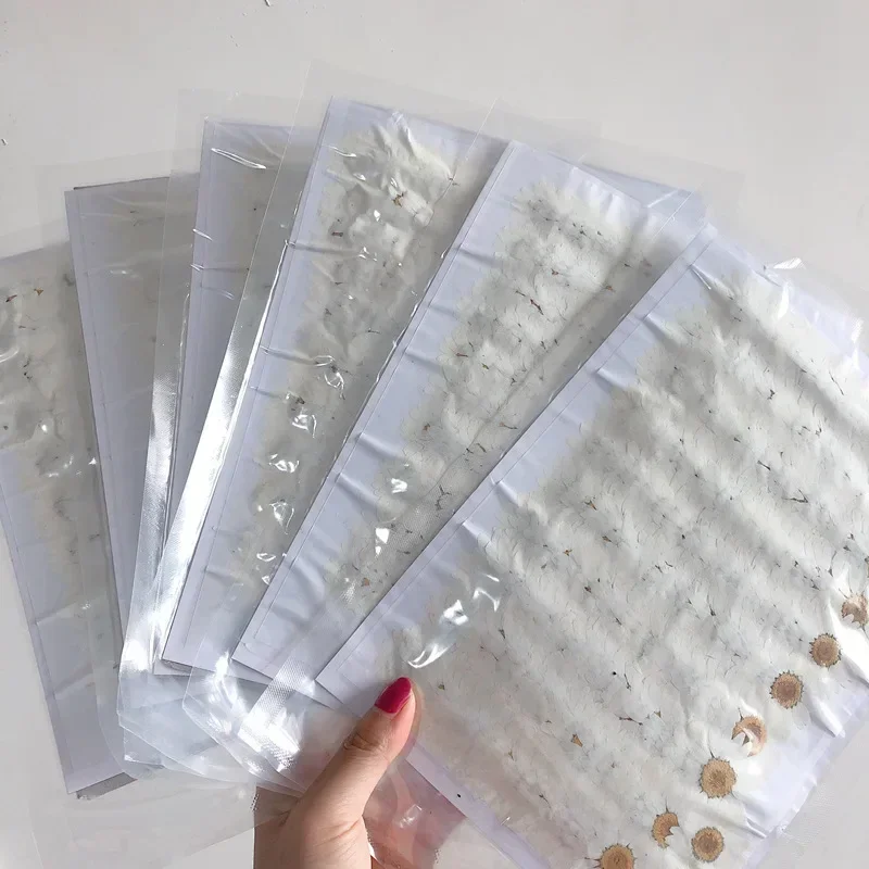 60X Pressed Dried White/Dyed C - Dried Flower Bookmark review and price