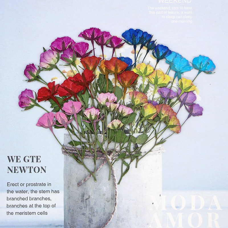 36X Pressed Dried Multi-heads  - Dried Flower Bookmark review and price