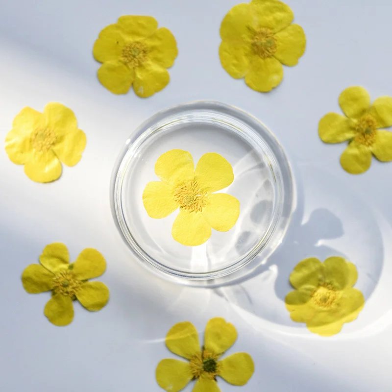 100Pcs Ranunculus Dried Flower - Dried Flower Bookmark review and price